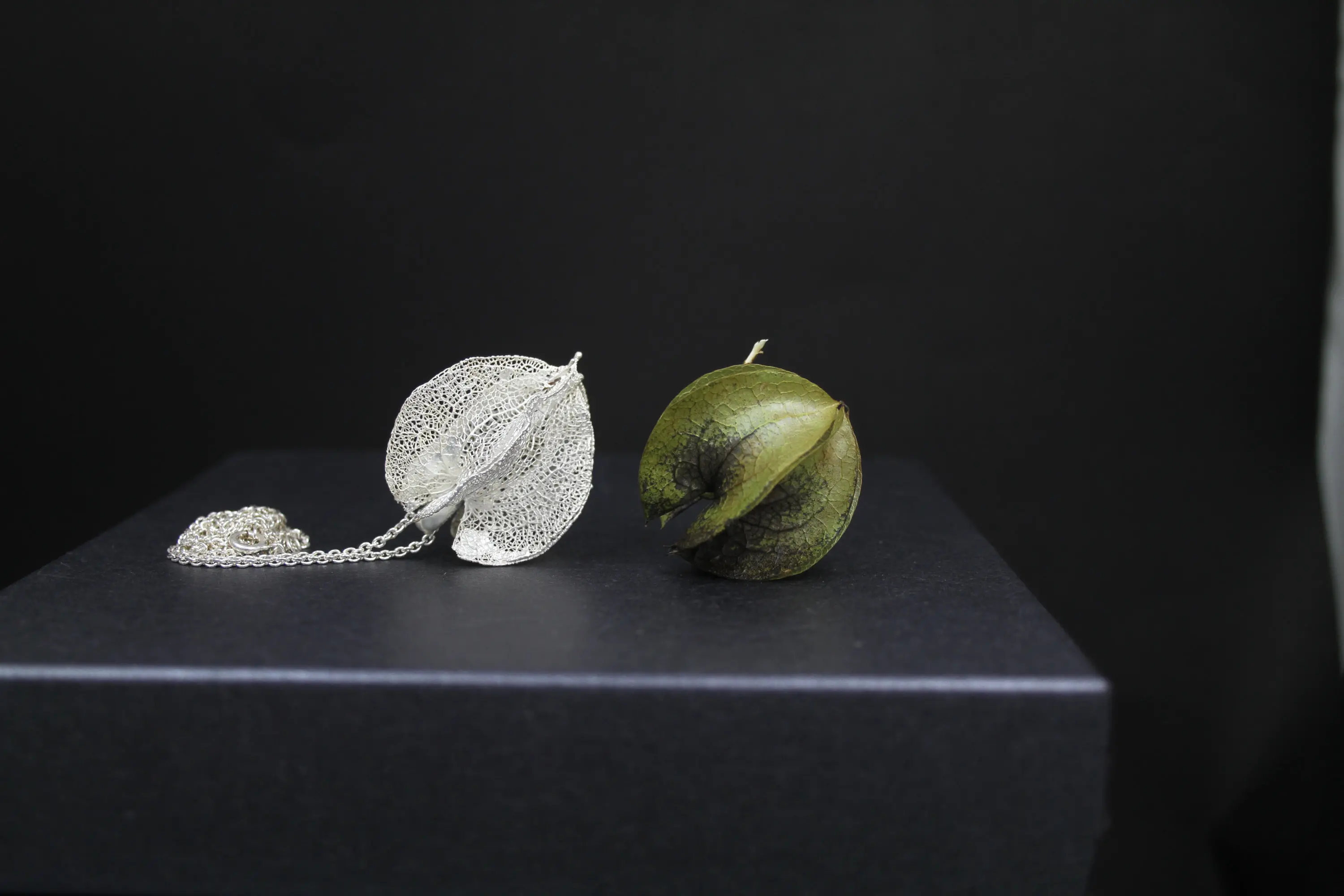 Frucht des Lebens patiniert