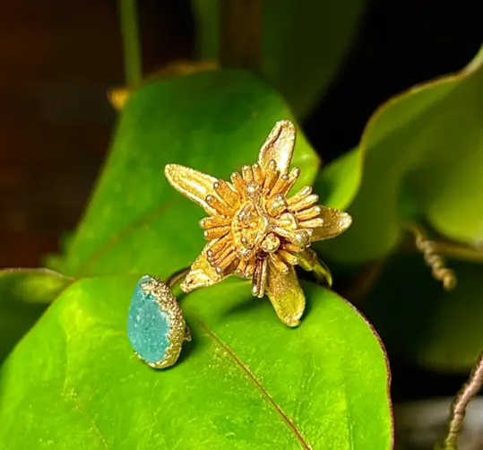 vergoldeter Ring, vergoldeter Stern, galvanisierter Stern, Galvanikprozess mit Goldelektrolyt